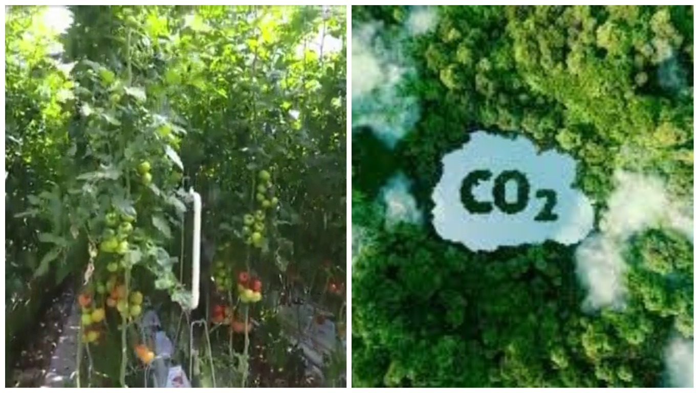 Increased Carbon Dioxide Levels Do NOT Always Results in Good Harvest