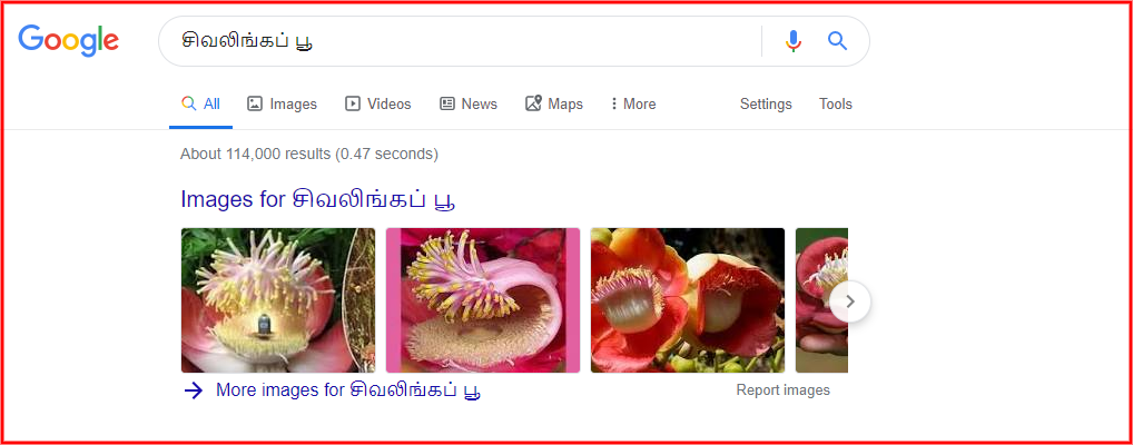 C:-Users-SGPrabu-Downloads-screenshot-www.google.com-2019.12.09-08_41_53.png