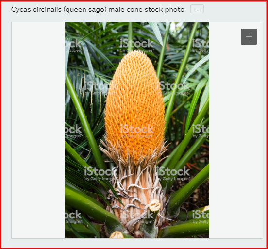 C:-Users-SGPrabu-Downloads-screenshot-www.istockphoto.com-2019.12.09-09_05_31.png