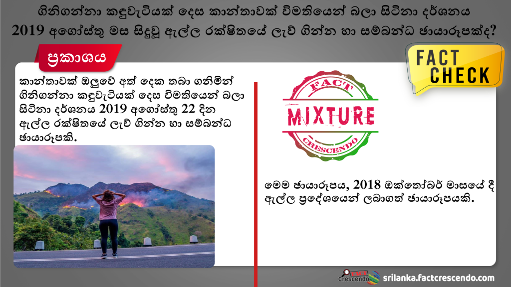Ella fire 2019 false image